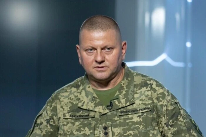 Залужный назвал найэффективнішу зброю на фронті