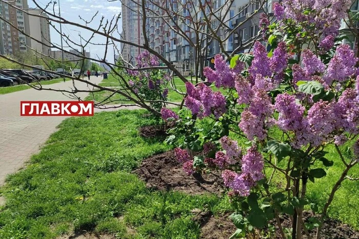 In den meisten Regionen der Ukraine ohne Niederschläge: Wettervorhersage für den 8. Mai
