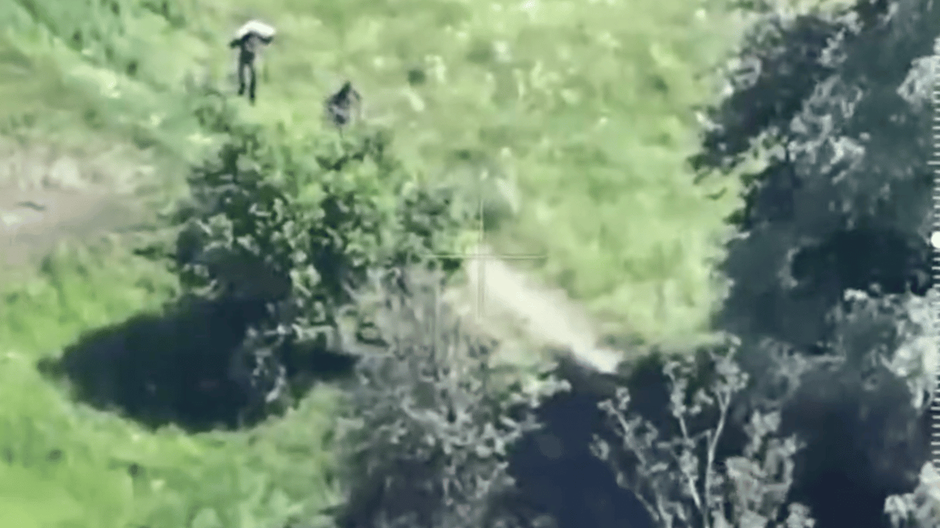 Phoenixes showed how they captured Russian soldiers — video