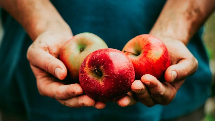 Die Preise für Äpfel sind in dreifacher Höhe gestiegen: Warum die gewohnte Frucht teurer geworden ist als Bananen